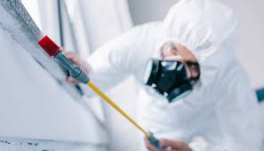 Professional Pest Control in Fredonia, AZ